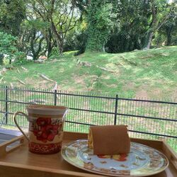 Sommerville Road (D13), Detached #480414441